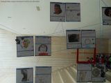 My Gallery (60/91)